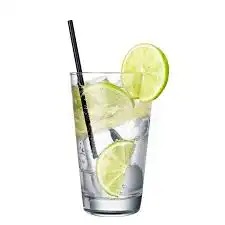 Gin Tonic with Lime
